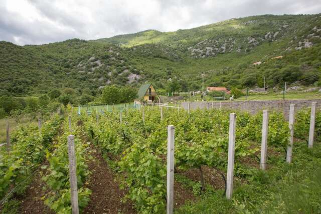 Загородные дома Cozy House Ostrog Никшич-13